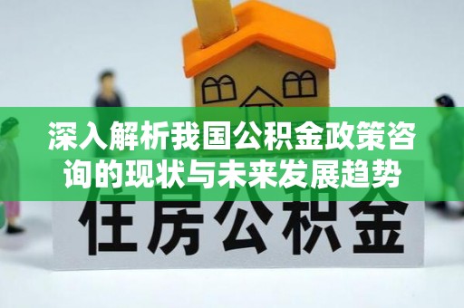 城西深入解析我国公积金政策咨询的现状与未来发展趋势