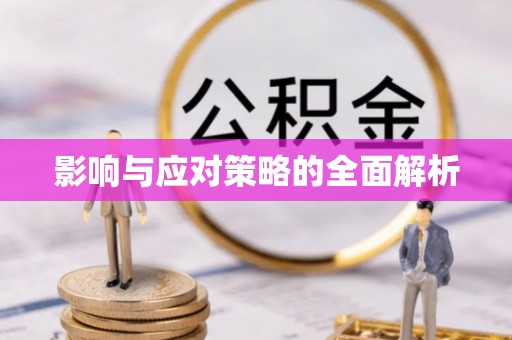 城西影响与应对策略的全面解析