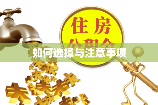 城西如何选择与注意事项