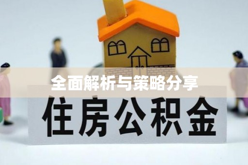 城西全面解析与策略分享