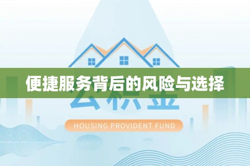 城西便捷服务背后的风险与选择