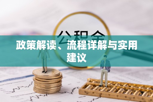 城西政策解读、流程详解与实用建议