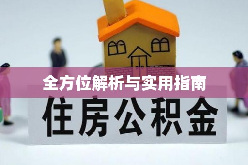 城西全方位解析与实用指南