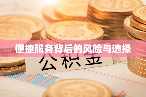 城西便捷服务背后的风险与选择
