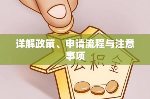 城西详解政策、申请流程与注意事项