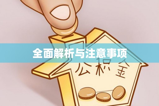 城西全面解析与注意事项