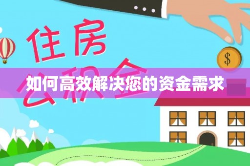 城西如何高效解决您的资金需求