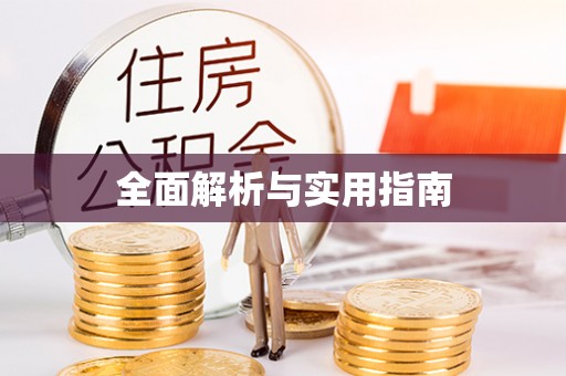 城西全面解析与实用指南