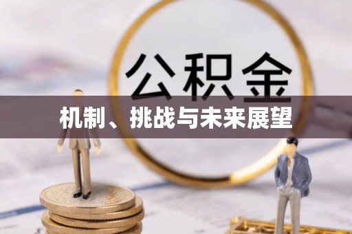 城西机制、挑战与未来展望